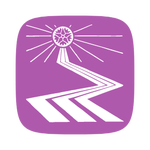 Professional Biography