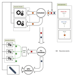 Simulation des Réseaux à grande Échelle sur les architectures de calcules hètèrogénes