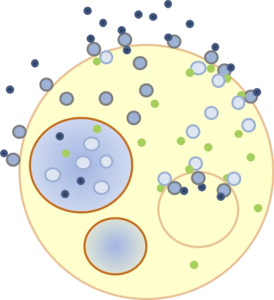 Efficient Simulation of Nested Hollow Sphere Intersections: for Dynamically Nested Compartmental Models in Cell Biology